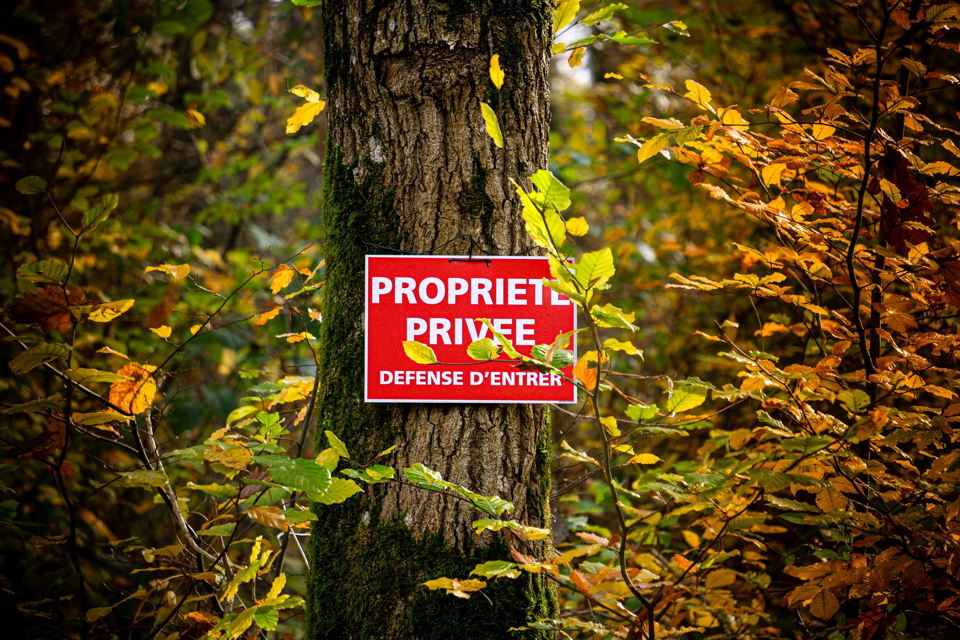 Détective privé à Reims